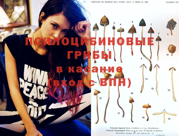 прущий лед Алексин