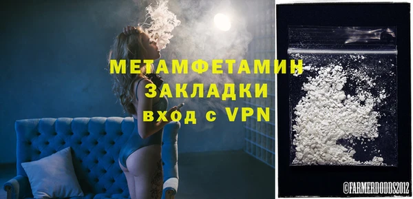 прущие грибы Наволоки