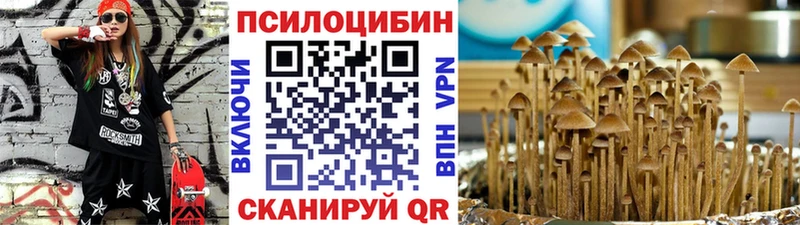 Галлюциногенные грибы Cubensis Скопин