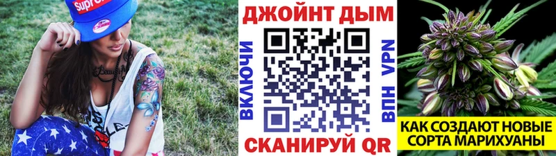 хочу   Скопин  Конопля план 